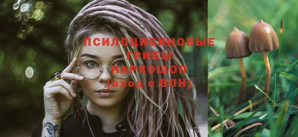МДМА Пестово