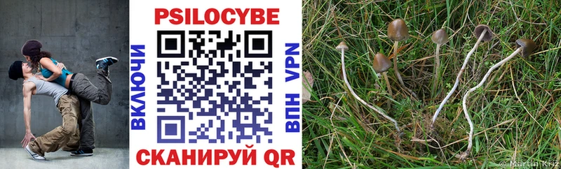 Псилоцибиновые грибы Cubensis  Купить где  Иноземцево 